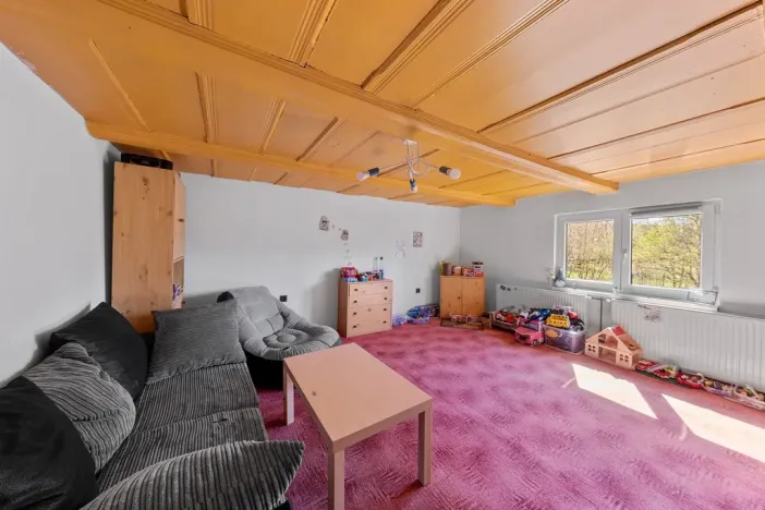 Prodej rodinného domu, Velký Šenov, 380 m2
