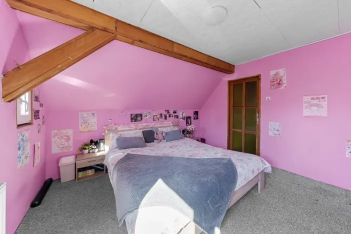 Prodej rodinného domu, Velký Šenov, 380 m2