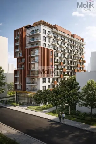 Prodej bytu 2+kk, Golem, 95 m2