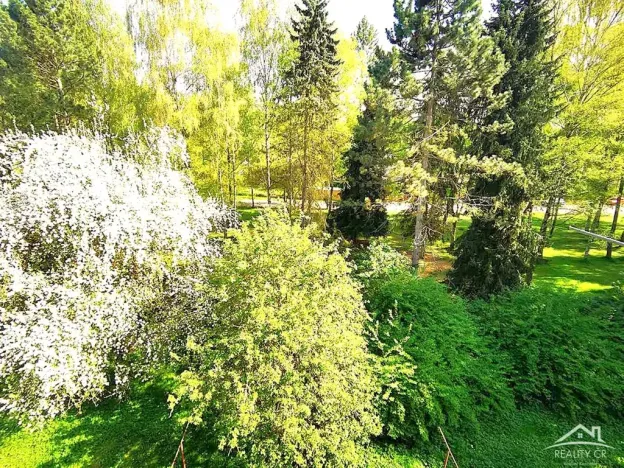 Pronájem bytu 1+1, Jihlava, Telečská, 33 m2