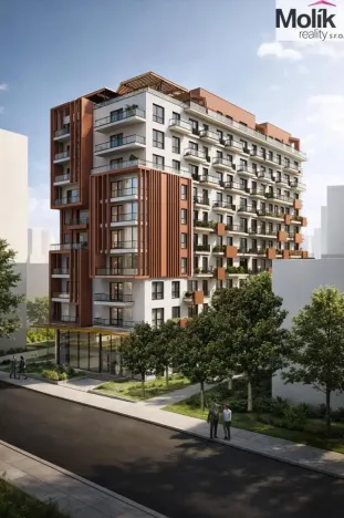 Prodej bytu 2+kk, Golem, 82 m2