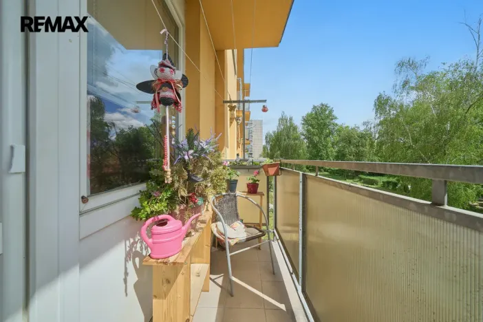 Prodej bytu 1+1, Hradec Králové - Pražské Předměstí, Jungmannova, 41 m2