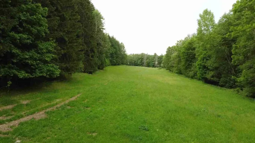 Prodej pole, Chotěvice, 2083 m2