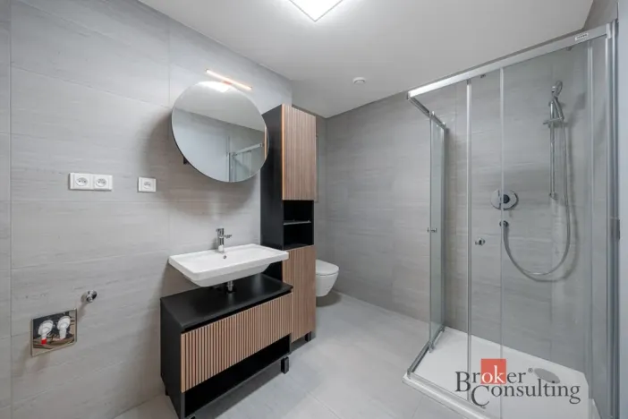 Prodej bytu 2+kk, Brno - Staré Brno, Nové sady, 80 m2