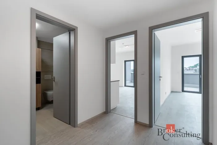 Prodej bytu 2+kk, Brno - Staré Brno, Nové sady, 80 m2