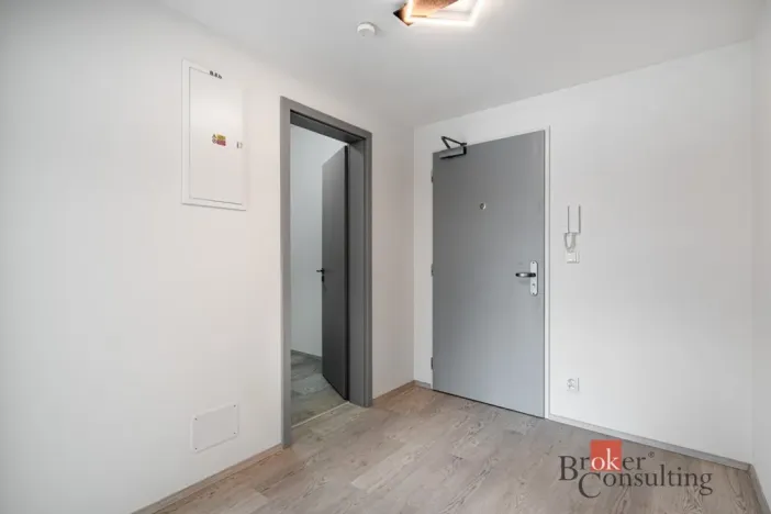 Prodej bytu 2+kk, Brno - Staré Brno, Nové sady, 80 m2