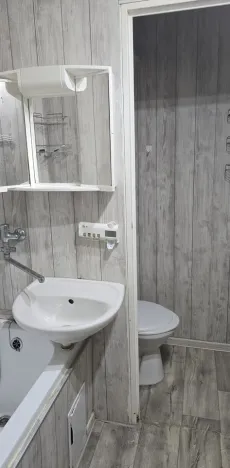 Pronájem bytu 1+1, Ústí nad Labem - Mojžíř, Peškova, 36 m2