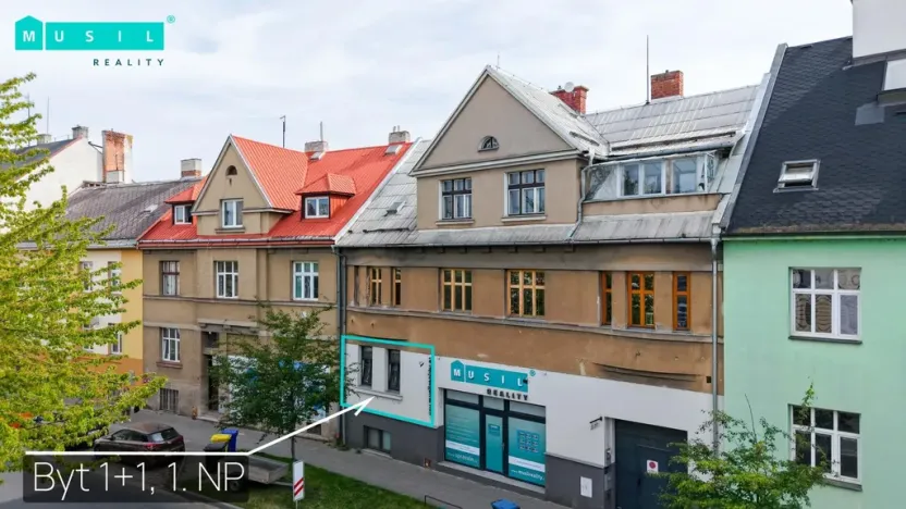 Pronájem bytu 1+1, Olomouc - Nové Sady, Rooseveltova, 65 m2