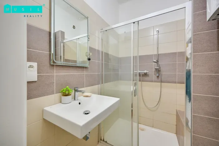 Pronájem bytu 1+1, Olomouc - Nové Sady, Rooseveltova, 65 m2