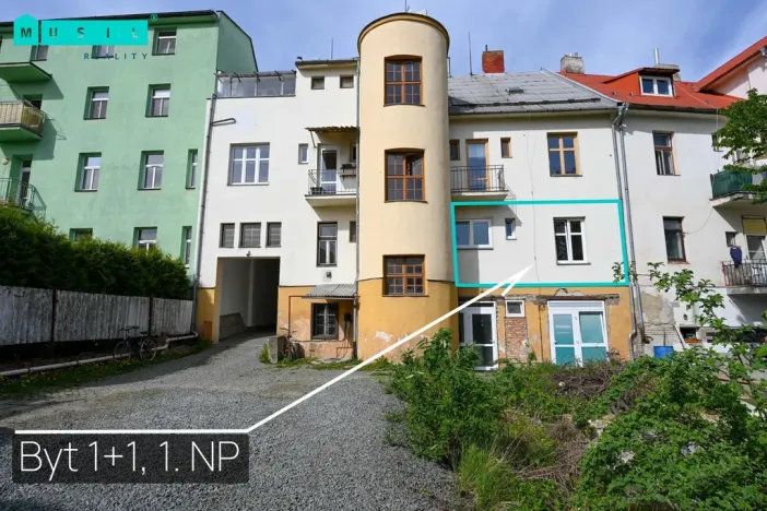 Pronájem bytu 1+1, Olomouc - Nové Sady, Rooseveltova, 65 m2