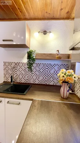 Prodej chaty, Ostrava - Martinov, 50 m2