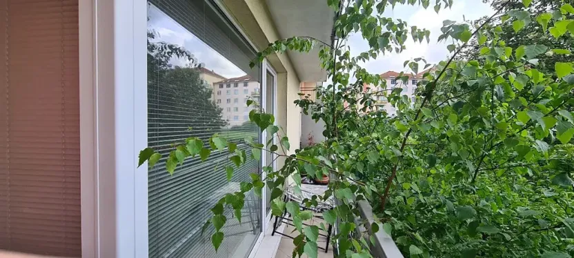 Pronájem bytu 2+kk, Praha - Horní Měcholupy, R.A. Dvorského, 69 m2
