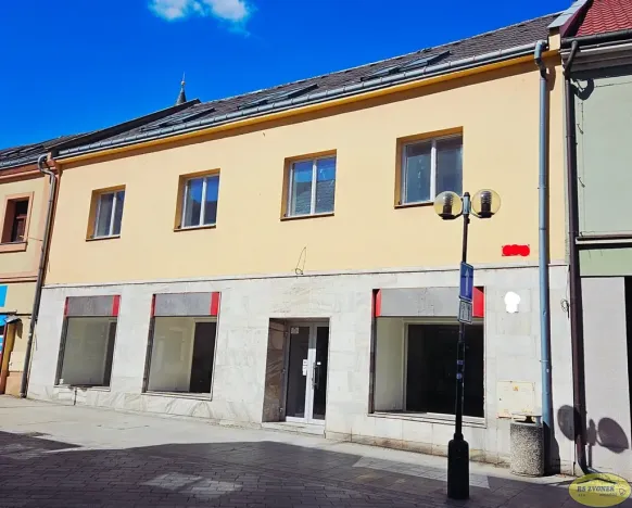 Pronájem obchodního prostoru, Přerov, Wilsonova, 599 m2