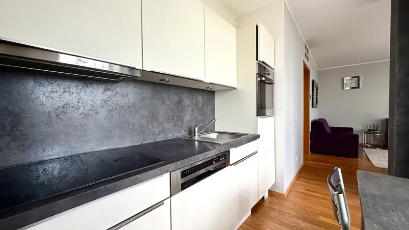 Pronájem bytu 1+kk, Praha, Malešická, 44 m2