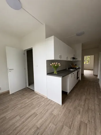 Pronájem bytu 3+1, Litvínov, Tylova, 81 m2