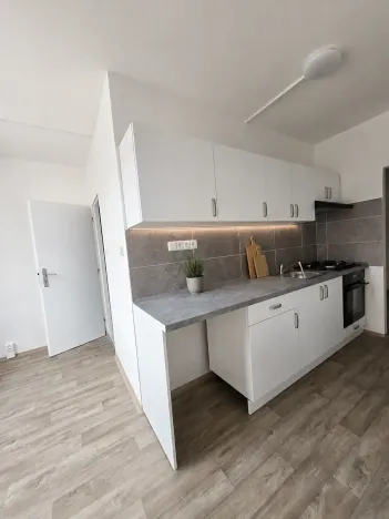 Pronájem bytu 2+1, Litvínov, Rooseveltova, 64 m2