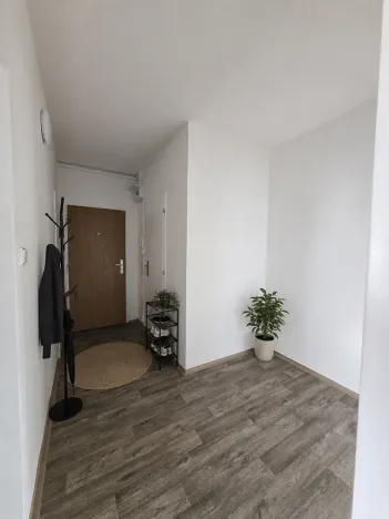Pronájem bytu 2+1, Litvínov, Rooseveltova, 64 m2