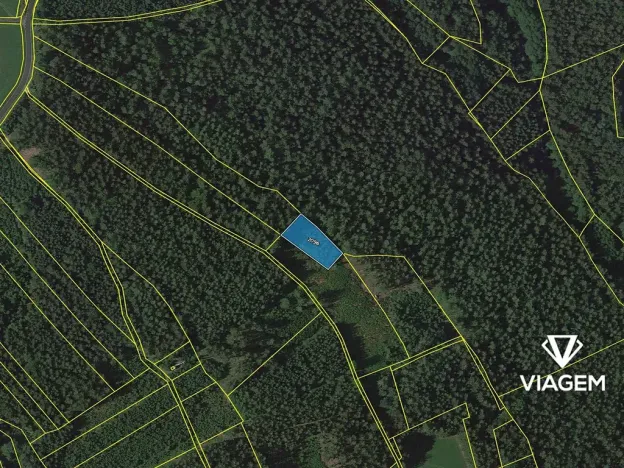 Prodej lesa, Loužnice, 1652 m2