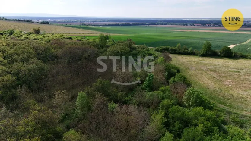 Prodej sadu/vinice, Kelčany, 1561 m2