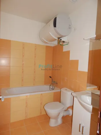 Pronájem bytu 1+kk, Zábřeh, Sušilova, 38 m2