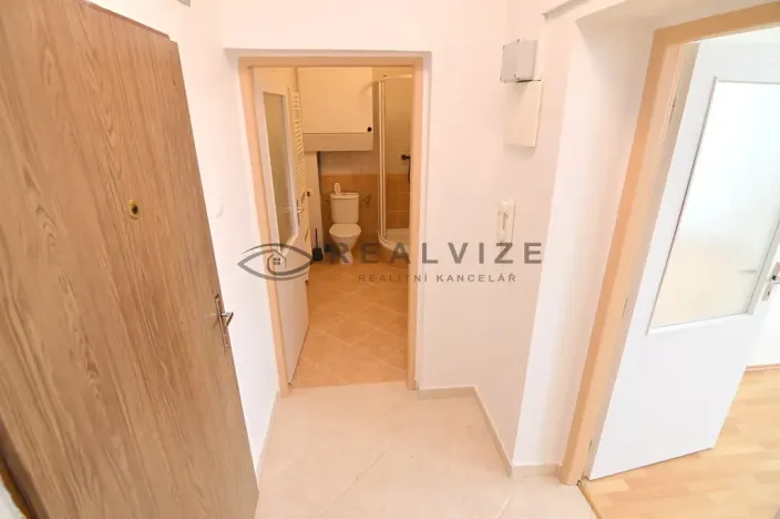 Pronájem bytu 2+kk, České Budějovice, K. V. Raise, 44 m2