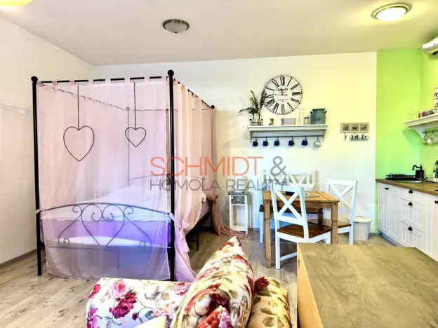 Pronájem bytu 1+kk, Hustopeče, Brněnská, 39 m2