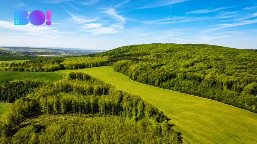 Prodej zahrady, Zástřizly, 1318 m2