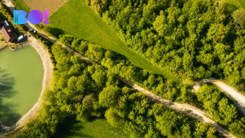 Prodej zahrady, Zástřizly, 1318 m2