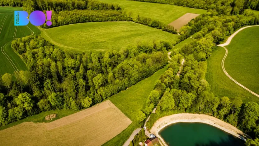 Prodej zahrady, Zástřizly, 1318 m2