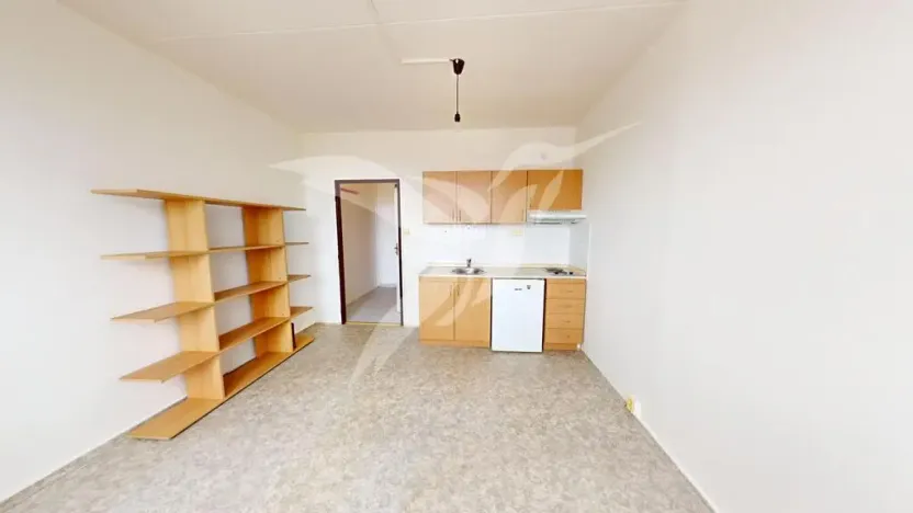 Pronájem bytu 1+kk, Plzeň, Kreuzmannova, 25 m2