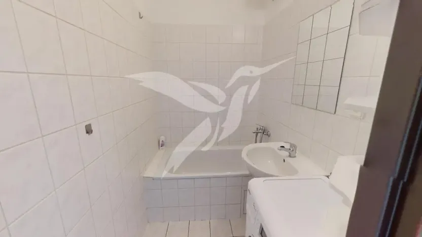 Pronájem bytu 1+kk, Plzeň, Kreuzmannova, 25 m2