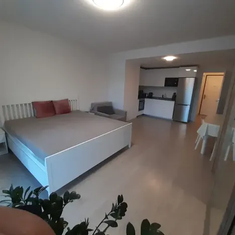 Pronájem bytu 1+kk, Praha - Žižkov, Hartigova, 37 m2