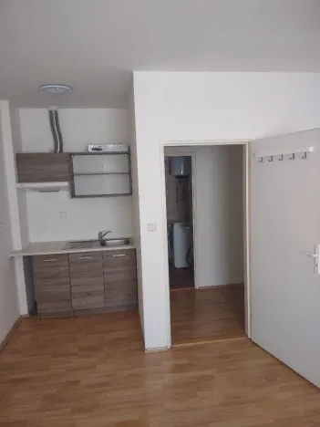 Pronájem bytu 1+kk, Ústí nad Labem - Krásné Březno, 1. máje, 24 m2