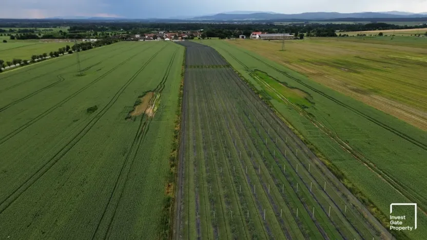 Prodej komerčního pozemku, Čejkovice, 32904 m2