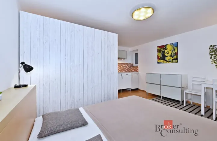 Pronájem bytu 1+kk, 25 m2