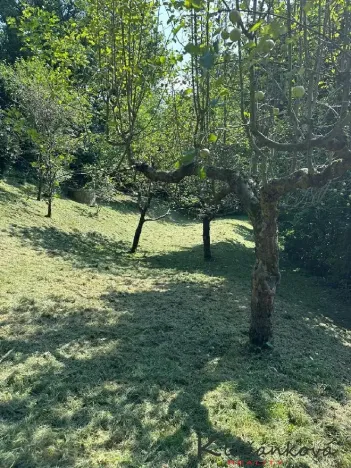 Prodej pozemku pro bydlení, Zlín - Příluky, Boněcko II, 893 m2