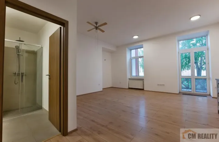 Pronájem bytu 1+kk, Olomouc - Hodolany, Holická, 40 m2