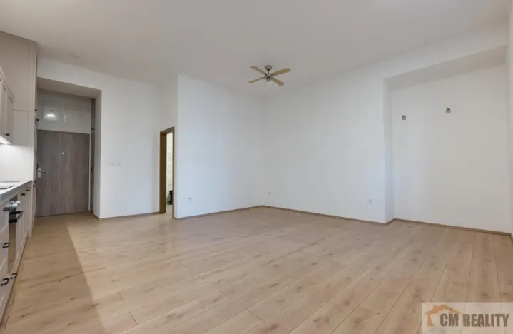 Pronájem bytu 1+kk, Olomouc - Hodolany, Holická, 40 m2