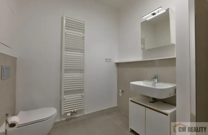 Pronájem bytu 1+kk, Olomouc - Hodolany, Holická, 40 m2