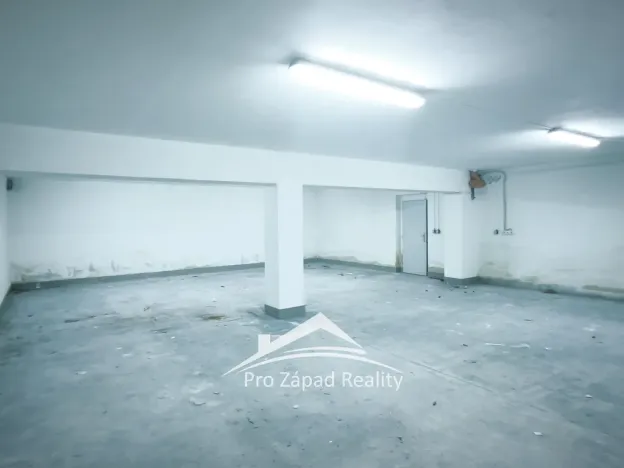 Pronájem obchodního prostoru, Plzeň, Poděbradova, 242 m2