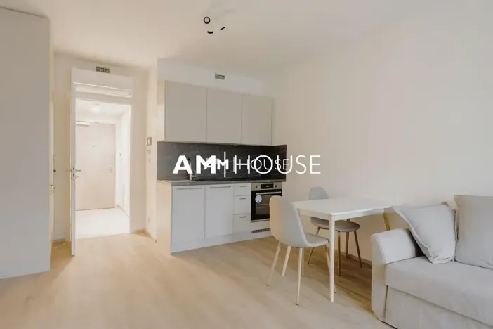 Pronájem bytu 1+kk, Praha - Žižkov, Šrámkové, 36 m2