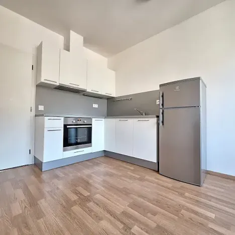 Pronájem bytu 1+1, Praha - Smíchov, Podbělohorská, 45 m2