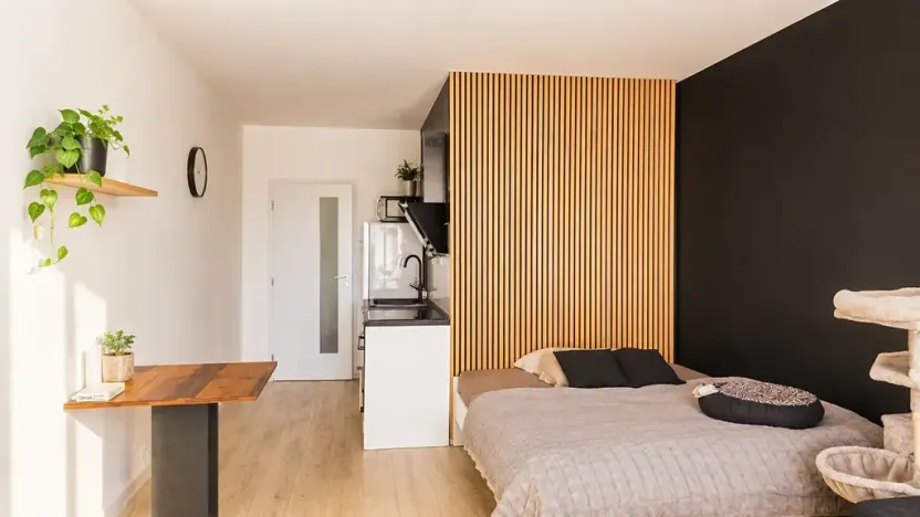 Pronájem bytu 1+kk, Letovice, Průchodní, 29 m2