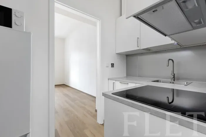 Pronájem bytu 1+kk, Praha - Žižkov, Milíčova, 29 m2