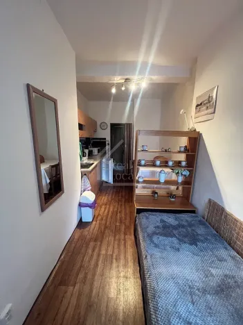 Pronájem bytu 3+kk, Praha - Hradčany, Pohořelec, 36 m2