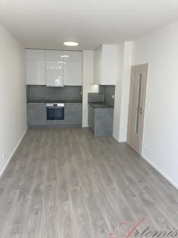 Pronájem bytu 2+kk, Ostrava - Hrabůvka, Hasičská, 41 m2