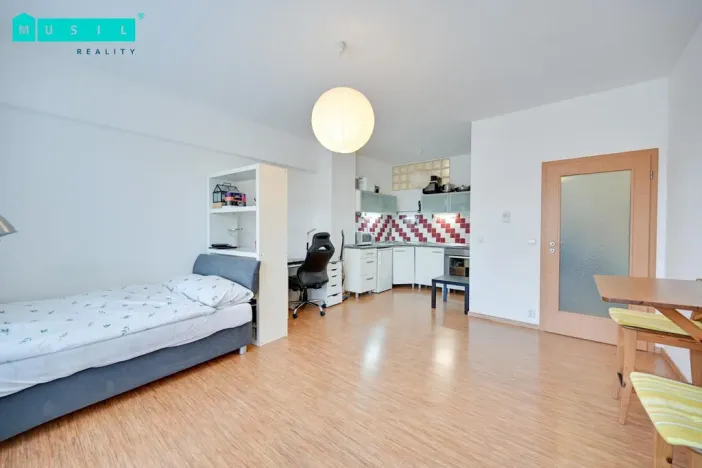 Pronájem bytu 1+kk, Olomouc - Nová Ulice, Na Tabulovém vrchu, 30 m2