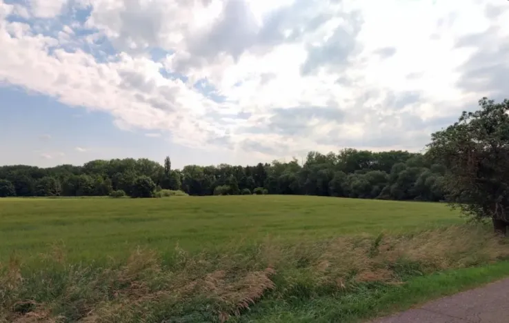 Prodej pole, Květnice, Lékořicová, 4623 m2