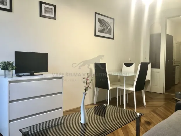 Pronájem bytu 1+kk, Praha - Josefov, Elišky Krásnohorské, 22 m2