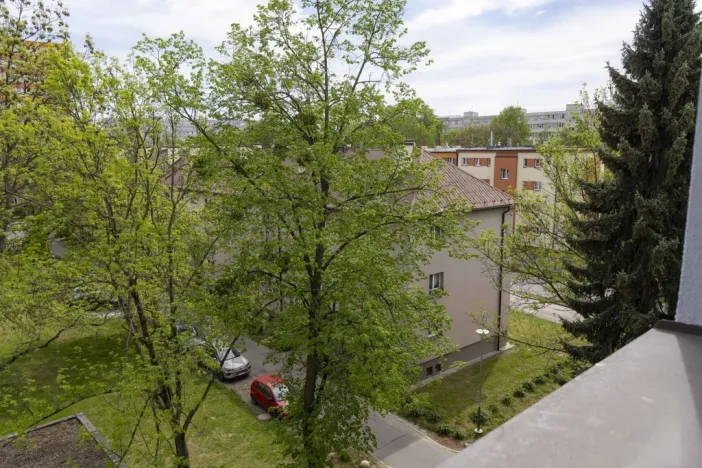 Prodej bytu 2+1, Ostrava - Hrabůvka, Provaznická, 50 m2